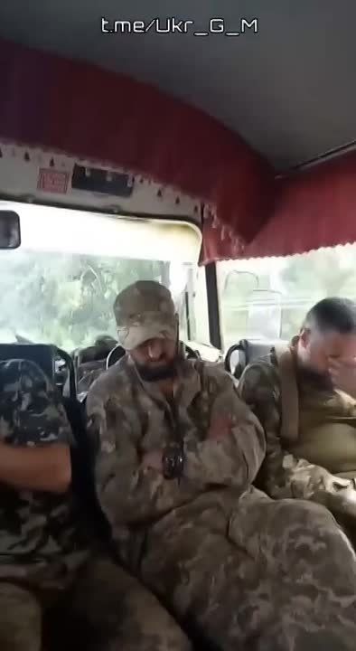 ���������: ������������� �������