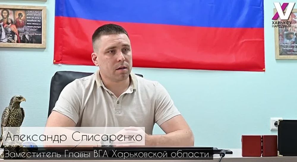 ������� ���� ����������, ���������� ���� ����� �������! ������ #3 ����������� ����� ������-����������� �������������...