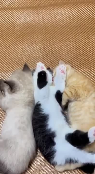 Спокойной тихой ночи! Всем добра!