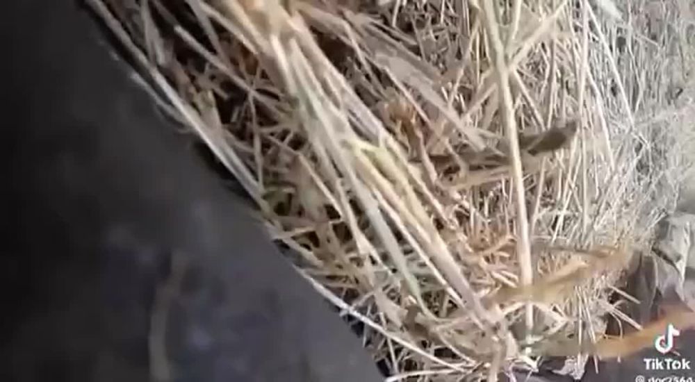 ������� �������� ���������� �� �������, �� ���-�� ����� �� ���!