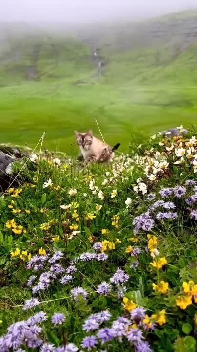 � ������ �����! �������� ���� ���!