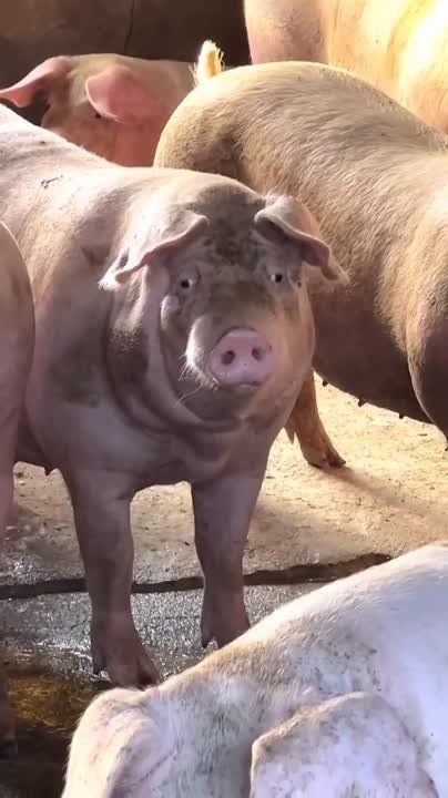 "������� ����� ��� ��� ������ ������� ��������� �� ��������� ����������� � ������ ��������