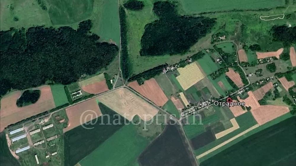 ��� ������� ���� �� ������ ������ ��� �� ����������� �����������, �����: @natoptishh