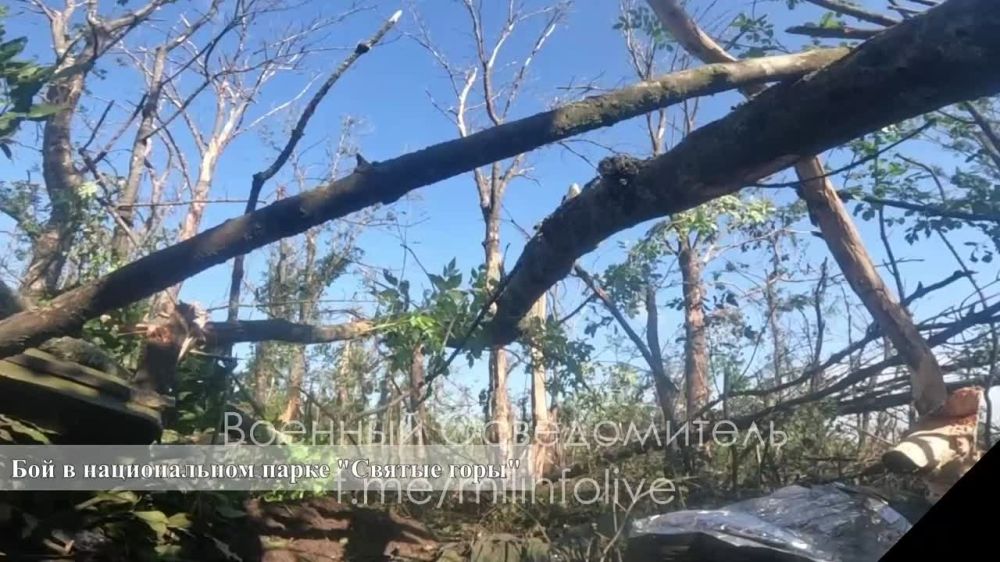 ���� ���� �� ����� ����� ������ �� ��������� �����������