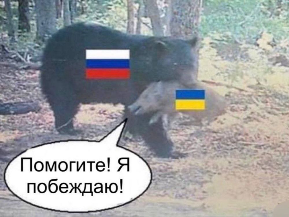 Киев ожидает, что украинское контрнаступление будет «будет долгим и тяжелым и займет достаточно много времени»