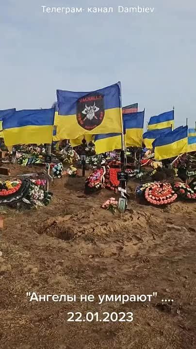 ��������� ������ Beregini: ��-�� ���������������� ��� �� ������� ������������� ����� �� ���������