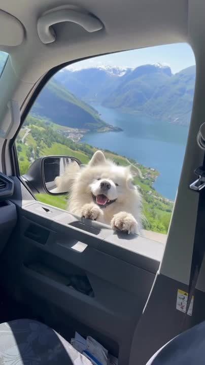 ������ ����!. ������ � �������� �� �������: