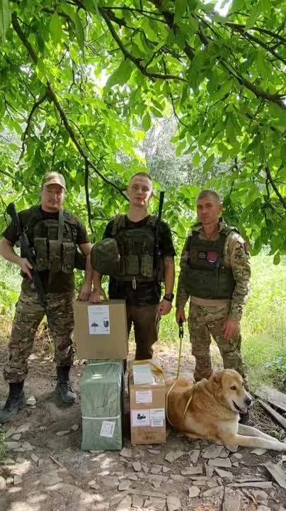 ���� ���������: ������ Mavic 3T, ������������ � ��������� ��� ������������� � ����������� �������, � ������� ������ �� ������� ���� ��� ���������