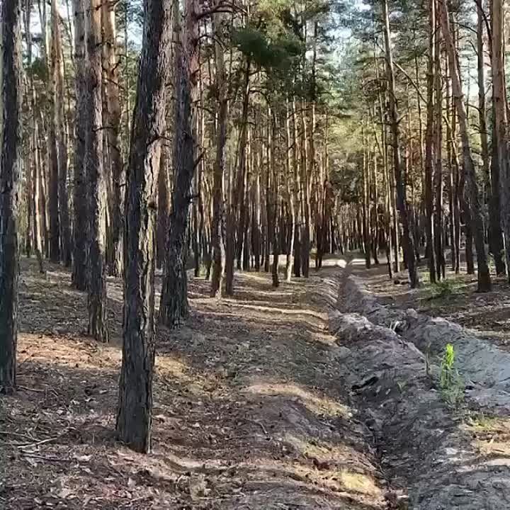 ����� �������� ����� ��������� ������ ��������� �����: ����������� �������� ����� ���������� ��������� ���