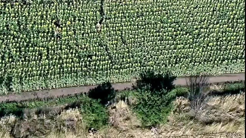 Укропомойки стебутся с мужчин, которые любым способом пытаются сбежать из страны "404"