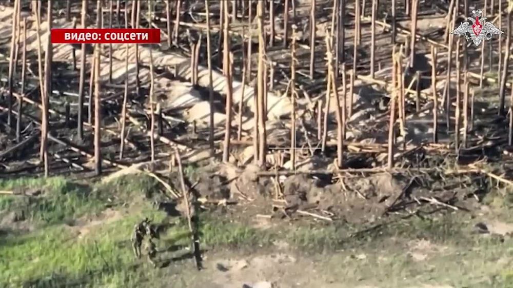 ������� ������ ��������� �� ���� �������