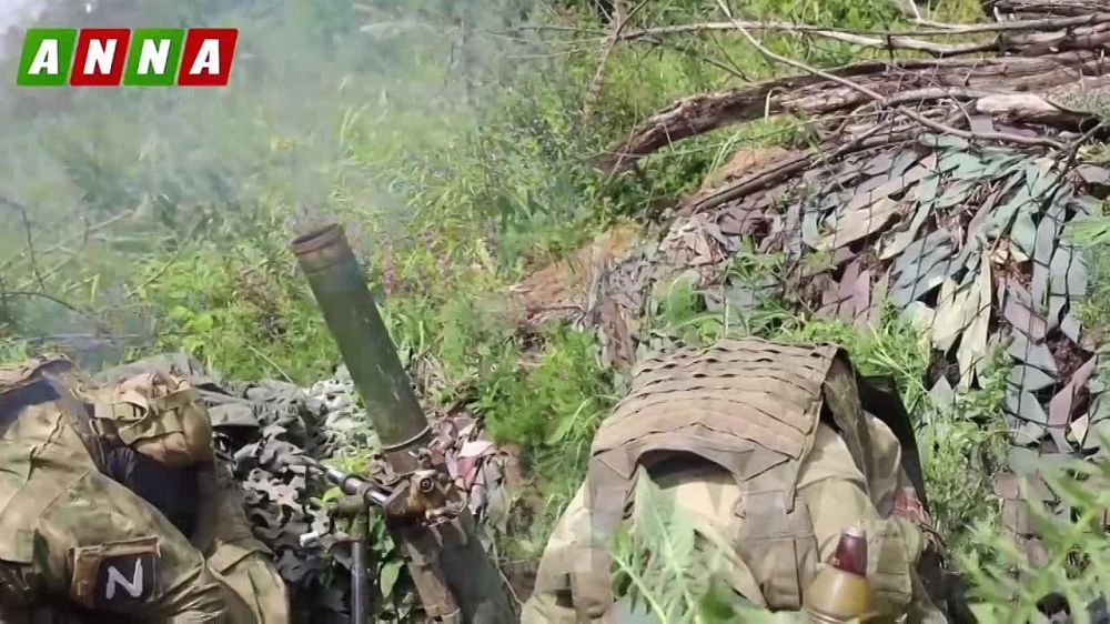 ���������� ������ ������ � ����������� ��� �� ��������� �����������