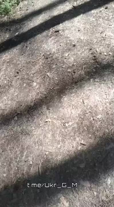 ��� ��������. ������� "����� �������". ������� � ����� �� ������ ������������, ������� ���������� �� � ������ ������ �� ���� �� �������������� �������, ������� ����������� �������� 5,45 ��