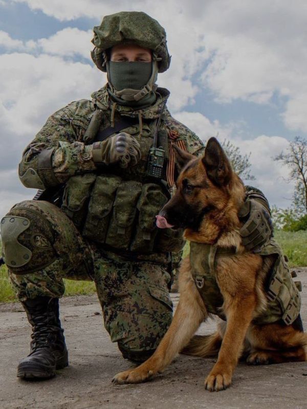 � ������ �����!. ������ � �������� �� �������: