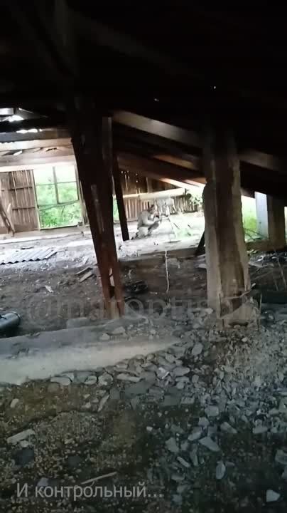 ���������� 6 ����� �������� ����������� ����� ��� ������ ������� ������������ � ����������� �������