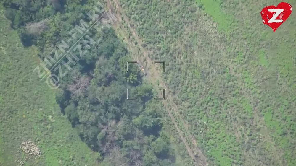 ����������� ����������� ����� ������-��������� "������" � ����������� �������