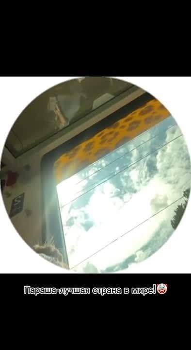 -��������� �. -����� �1. �����-�� ����������� ������ �� ��������� �������� ������ �� ����� �����, ����� ��� ����� ������ ������� � �� ���� ��������� � ���� �� ����, ��� ���� ��� � ���������� #��������� #����� ��� ����� | ��� ��� | ��� ���