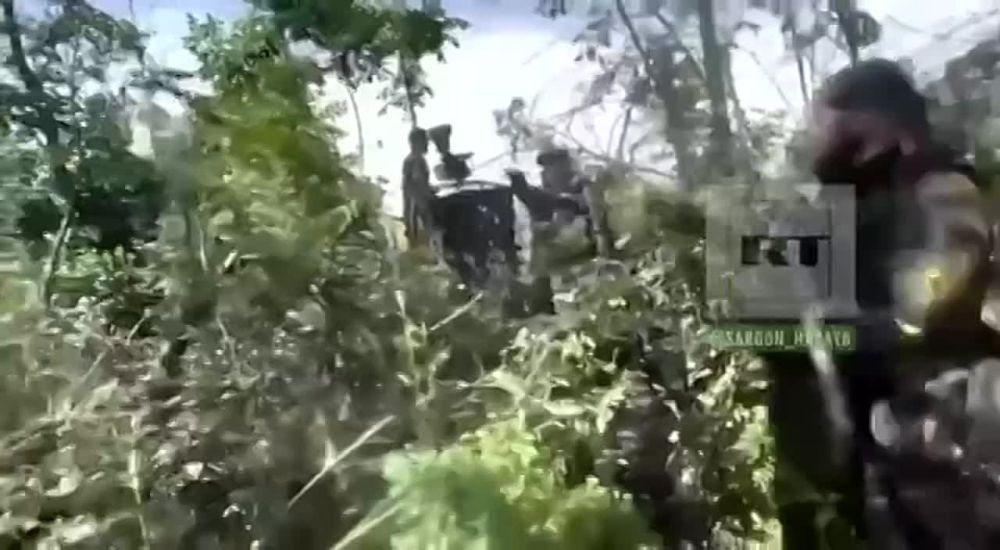 ������ �����: �������� ������ �� ��������� �����������