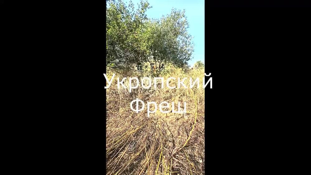 � ��� � ����� ������������� ���� ��� ������� ��� ������������� � ��������� ������