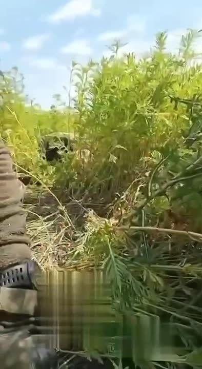 "��� �������� �������, �� �����������, ��������� �� ����...�������� ������"