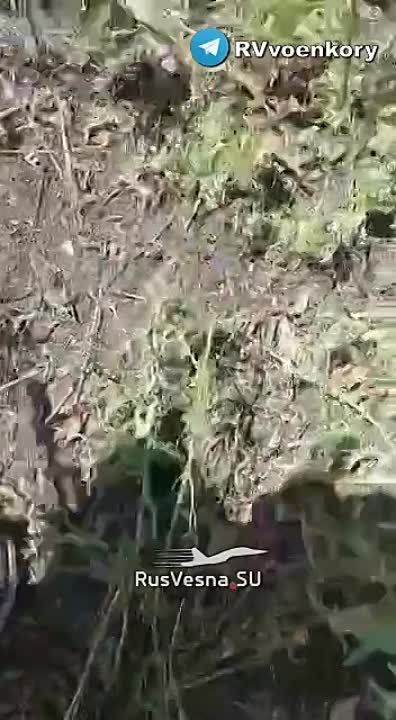 ����������� ���������: ���� ��������� �������� ������� ���, ���� ����� �� ������ �������