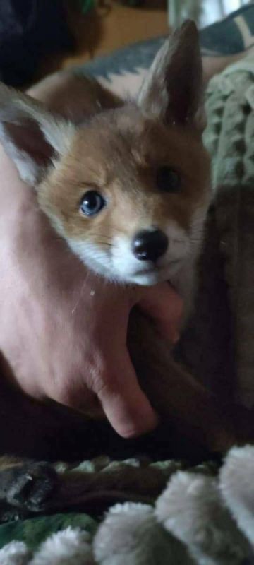 ��� ��������� ������� ����� ������ ���������� �������