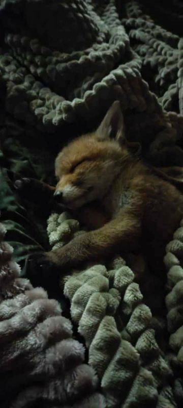 ��� ��������� ������� ����� ������ ���������� �������))