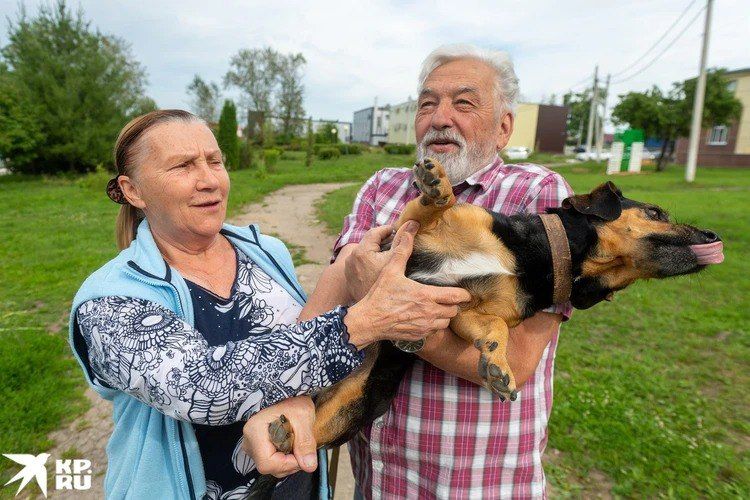 "��� �� ������ ������ ���� ������� ������": �������� �� �������� ��������� �� ��������� ��� � �������� � ������