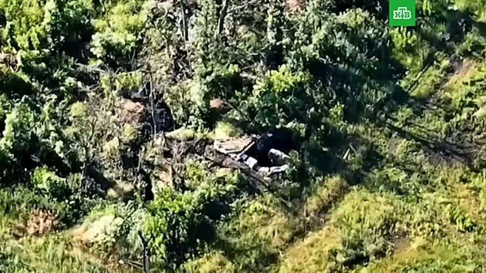 ���������� ������ �������� ����������� ���������������� ��������������� ������ ��� �� ��������� �����������