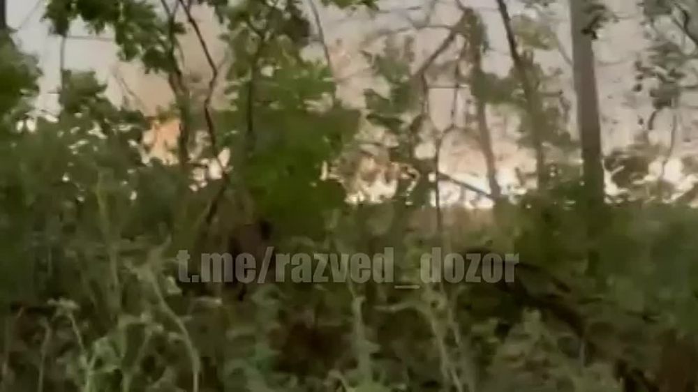 ����� 6 ����� ��� ��������� ��������� ���� � ������ ��������