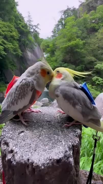 � ������ �����! ������������� ���!