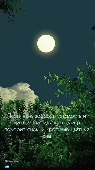 ��������� ���� ����, ��� ������� �����