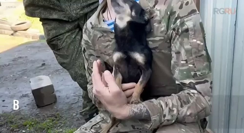 ����������� �����. ������ - ���� ��������. � �������� � ���� ��� ������� ���������� � ������ "������" #��� #������ ��� ����� | ��� ��� | ��� ���