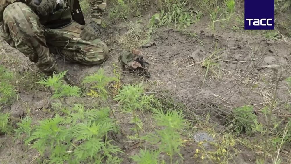 ���������� ������ �������� ����� ������ ������ ������������ ������������� ����� ����� ��������� �������� ������, ������� ������������ �������� ����� �� ��������� ����������� � ���� ���������� ����������� ������� ��������