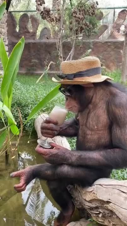 ������� ����������� ����!. ������ � �������� �� �������: