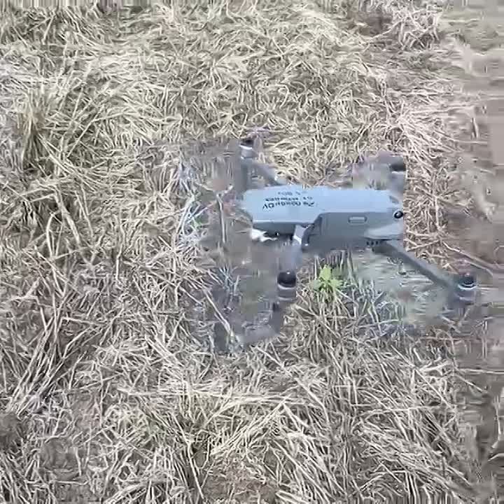 А вы знали кто готовит боевых птичек для фронта?