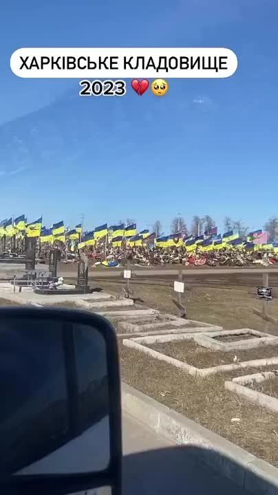 ��������� �������� � ��������