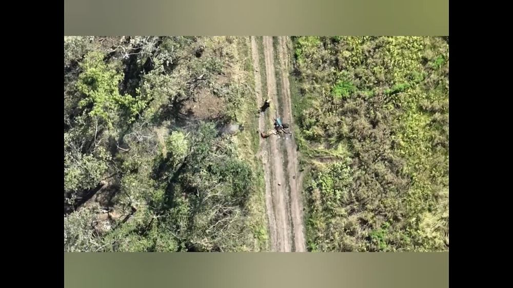 ��������� �����������. �������� ���������� ����� �� ����-��������� ��������� �������� � ������ �������� ������� ������. �� ���� �� ������� ��������, ��� �������� ����� "����������"