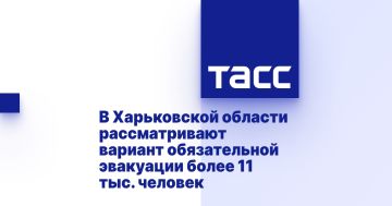         11 . 