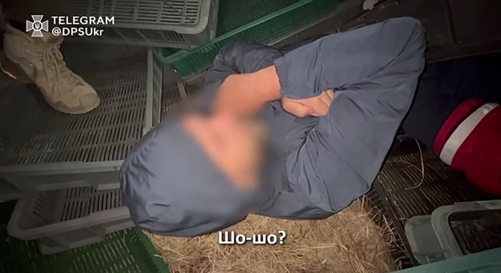 - ���� ����?. - ����� ��������.. ������� ������, � �������� ������