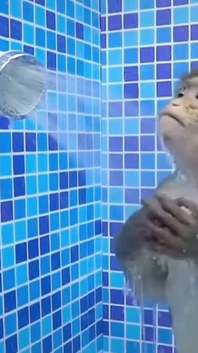 � ������ �����! ����� ���� ���� �������� ������!