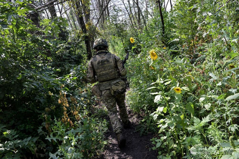 Российским войскам остались считанные километры до Купянска, заявил Ганчев