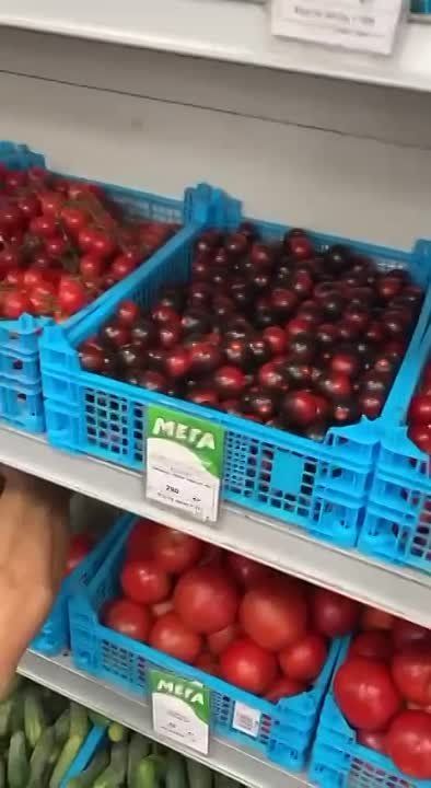 ������� ������ �� ������� ����������! �������� ����������