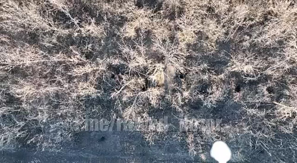 ��������� ������ �������� ����������� �� ��������� ����������� �������� ������� ���