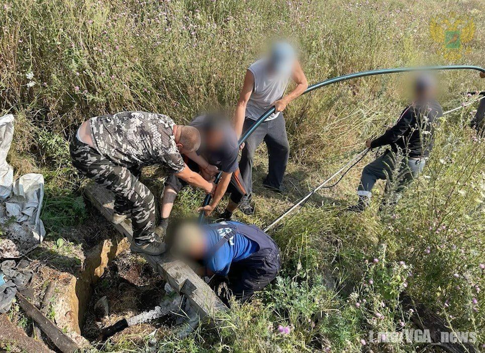 ������������ ������ �� �������������� ������������� �� ���������� ����������� �������