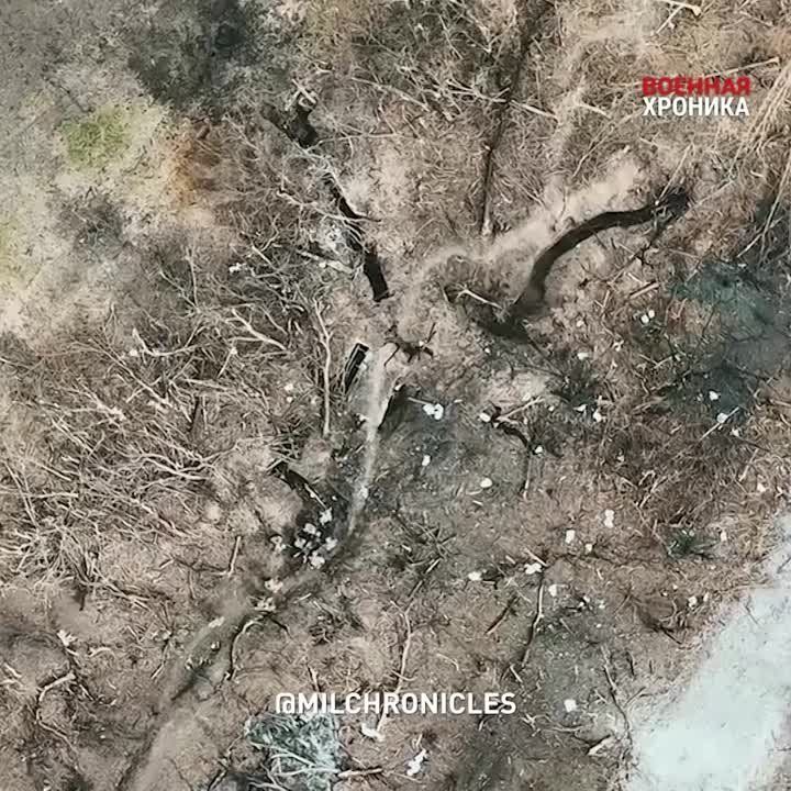 �������� � ��������� (���) �� 13 �������