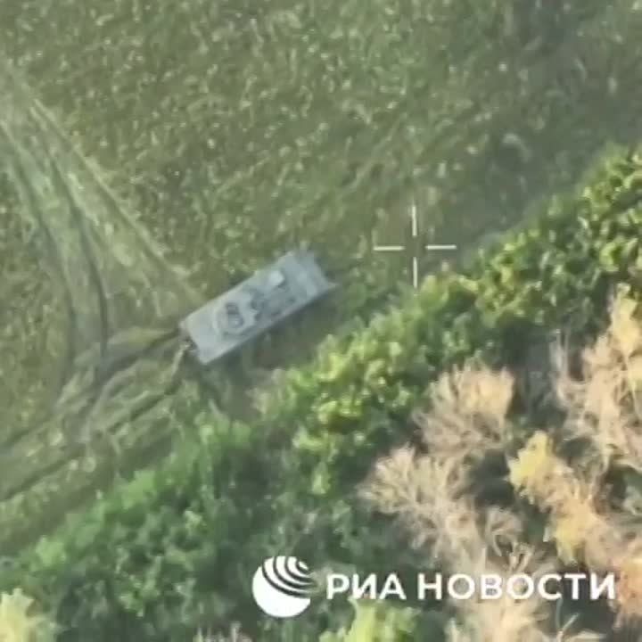 ���������� ������� ������� �������� ���������������� Rosomak ���