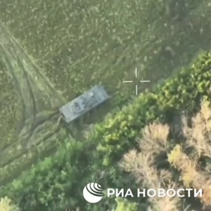 ���������� ������� ������� �������� ���������������� Rosomak ���. ��� ������ ��������������� ��������� �������� ������� � ���� ���