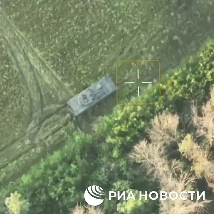 ����������� ����������� ���������������� Rosomak ��������� ������������ �� ��������� �����������