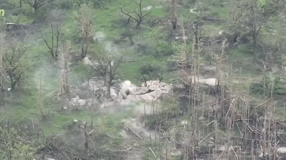 ����� �����. ������� ����� ����������� �������� ������ ������������� �� ��������� �����������